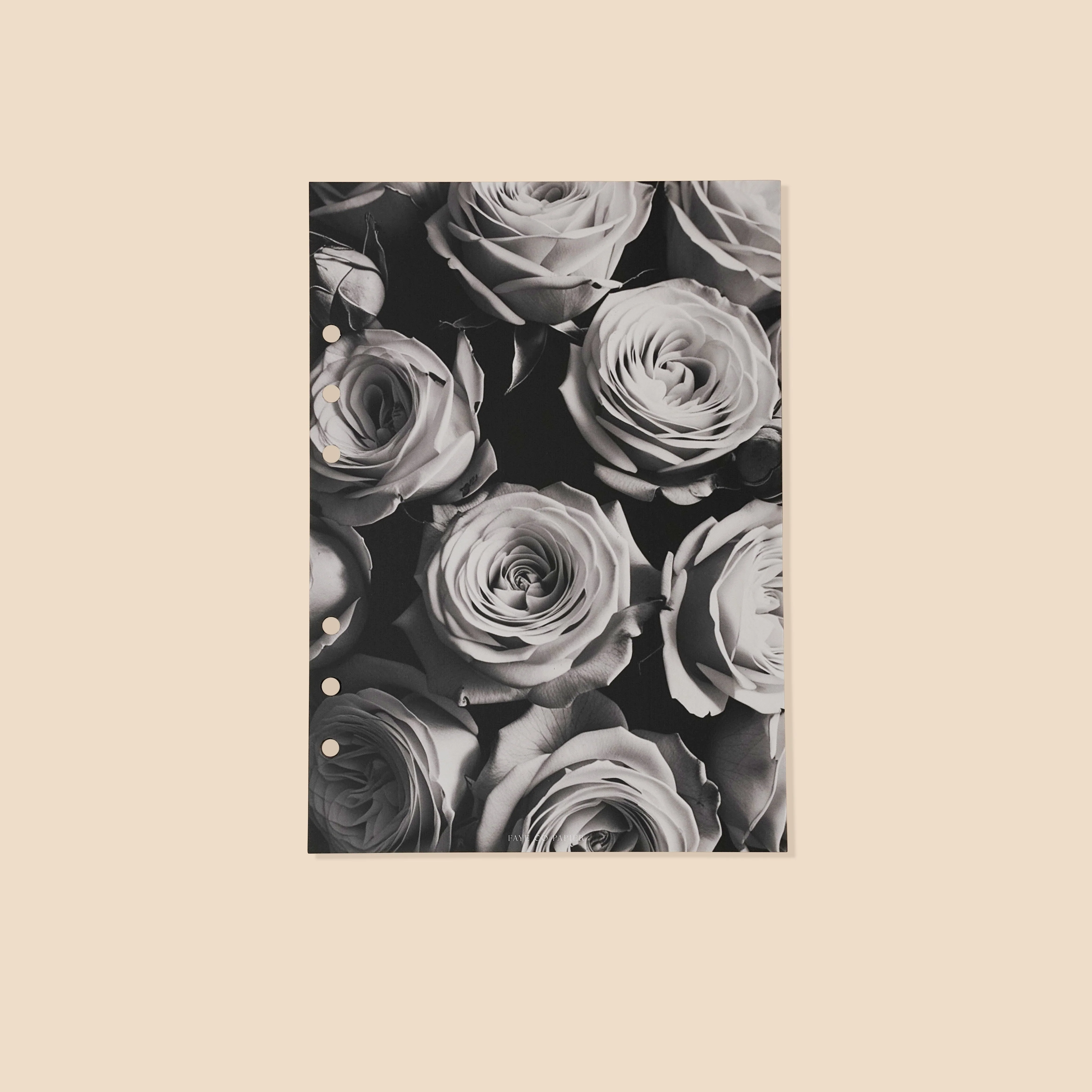 Dividers/Dashboards